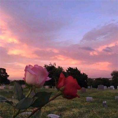 安博体育·(中国)官方网站下载手机版