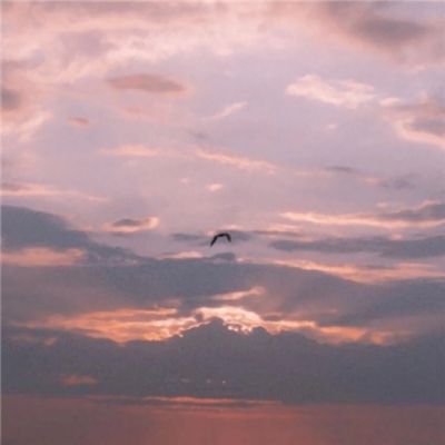 Kaiyun·开云体育app下载