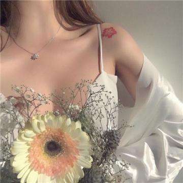 麻将胡了网站入口